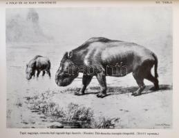 A természet világa sorozat 2 kötete, III-IV. III. kötet: A föld és a tenger. IV. A föld és az élet t...