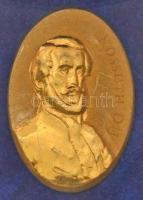 2000- . Kossuth-díj aranyozott kitűző, eredeti tokban (17x25mm) T:2  MNK.: 729.