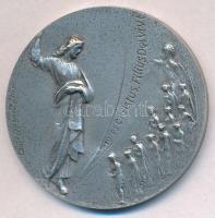 Vatikán 2003. "II. János Pál" jelzett Ag emlékérem, sorszámozott. Szign.: Cecco Bonanotte ...