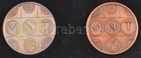 Fritz Mihály (1947-) 1988. "90 éves a Magyar Numizmatikai Társulat" Ag és Br emlékérem, dí...