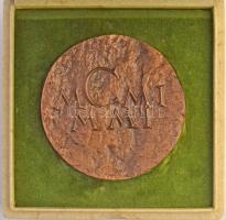 Kiss György (1943- ) 2001. "Száz éves a Magyar Numizmatikai Társulat" kétoldalas Br emléké...