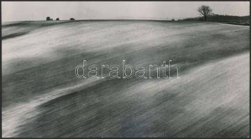 cca 1970 Zsigri Oszkár (1933-?) budapesti fotóművész hagyatékából 4 db vintage fotó, kettő feliratoz...