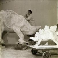 cca 1960 Magyar Nemzeti Múzeum őslénytani kiállításához készülő dinó szobrok, 5 db vintage negatív K...