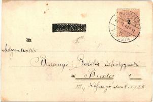 1899 Cat pianist playing the piano. Theo Stroefer's Kunstverlag. Aquarell-Postkarte Serie V. No...