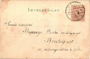 1899 Cats smoking pipes. litho (EK)