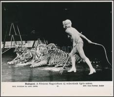 cca 1960-1985 Budapesti riportfotók az MTI-ből, feliratozva, 13 db vintage fotó, 20x24 cm és 27x18 c...