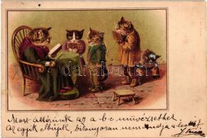 1899 Cats reading lesson with old lady cat. litho