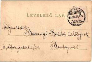 1899 Cats reading lesson with old lady cat. litho