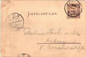 1900 Szolnok, Jász-Nagykun-Szolnok megyei kórház. Bakos István kiadása (kopott sarkak / worn corners...