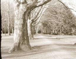 cca 1930 Szegedi városképek, dr. Bónis László (?-?) szegedi rendőrfogalmazó hagyatékából 10 db szaba...