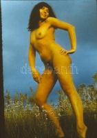 cca 1978 Vintage színes diapozitív aktfotók, 8 db szolidan erotikus felvétel, 24x36 mm