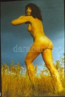 cca 1978 Vintage színes diapozitív aktfotók, 8 db szolidan erotikus felvétel, 24x36 mm