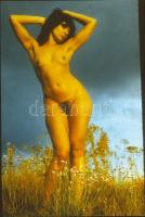 cca 1978 Vintage színes diapozitív aktfotók, 8 db szolidan erotikus felvétel, 24x36 mm