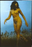 cca 1978 Vintage színes diapozitív aktfotók, 8 db szolidan erotikus felvétel, 24x36 mm