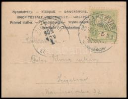 1904 Vintage lady (9 cm x 7 cm)