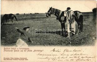 1901 Hortobágy, Bujdosó betyár a Hortobágyon, folklór. Pongrácz Géza kiadása, Kiss Ferenc felvétele