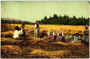 Folklore, farmers. B.K.W.I. 957-4. (worn corners)