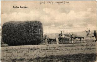 Széna hordás ökrös szekérrel / hay carrying by oxen cart, Hungarian folklore