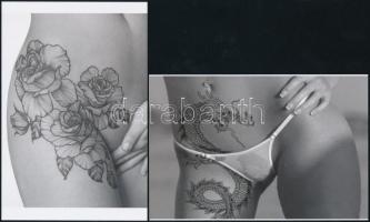 cca 1985 Rejtőzködő szépségek, szolidan erotikus fényképek, 5 db mai nagyítás, 10x15 cm és 25x18 cm ...