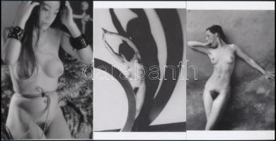 cca 1970 Akt kompozíciók, szolidan erotikus fényképek, 6 db mai nagyítás, 10x15 cm és 25x18 cm közöt...