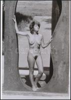cca 1970 Ábrándos teremtések, szolidan erotikus fényképek, 6 db mai nagyítás, 10x15 cm és 25x18 cm között / 6 erotic photos