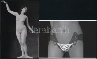 Száz év különbség a szépségideálok között, szolidan erotikus fényképek, 5 db mai nagyítás, 10x15 cm ...