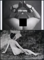 cca 1980 Szolidan erotikus fényképek, 5 db mai nagyítás, 10x15 cm és 25x18 cm között / 5 erotic phot...