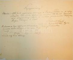 Egy politikus-jogász család története: Rendkívül érdekes hagyaték anyag az 1700-as évektől 1950-ig. ...