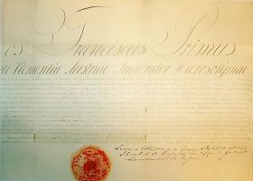 Egy politikus-jogász család története: Rendkívül érdekes hagyaték anyag az 1700-as évektől 1950-ig. ...