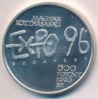 1993. 500Ft Ag "Expo 96 Budapest" T:BU 
Adamo EM131