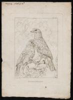 cca 1830 Nepomuk Muxel (1790-1870): 5 db rézkarc, papír, jelzett a dúcon, 24x18 cm