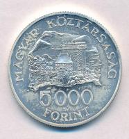 2004. 5000Ft Ag "Visegrádi vár" T:BU 
Adamo EM192