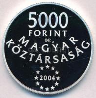 2004. 5000Ft Ag "Magyarország az Európai Unió tagja" T:PP
Adamo EM190
