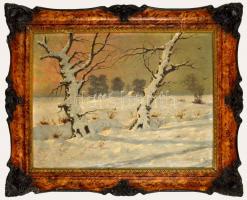 Németh jelzéssel: Téli táj. Olaj, vászon, dekoratív keretben, 60×80 cm