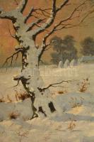Németh jelzéssel: Téli táj. Olaj, vászon, dekoratív keretben, 60×80 cm