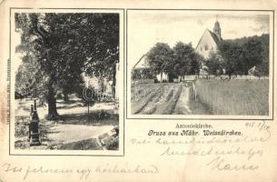 Hranice, Mährisch Weisskirchen; Antoniekirche / church (fa)