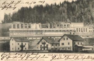Bruggermühl (Kirchbichl, Tirol), Egger & Lüthi Portlandcement Fabrik / Portland Cement factory (EK)
