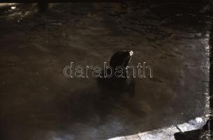 cca 1940 Budapest BNV, Szent Jobb körmenet, városképek 36 db  fotónegatív negatív tartóban