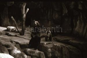 cca 1940 Budapest BNV, Szent Jobb körmenet, városképek 36 db  fotónegatív negatív tartóban