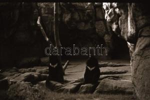 cca 1940 Budapest BNV, Szent Jobb körmenet, városképek 36 db  fotónegatív negatív tartóban