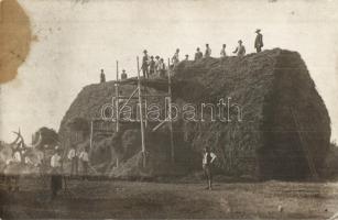 1908 Karcag, Gazdák aratáskor, szalmakazal, létra, szarvasmarha. photo (fl)