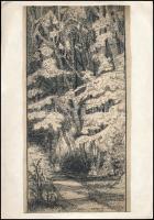 Erdey Dezső (1902-1957): Erdőrészlet, tus, papír, jelzett, 28×15 cm