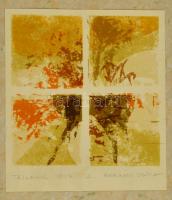 Harmati Zsófia (1966): Tájlapok, 1997 színes rétegnyomat, 15 x 15 cm