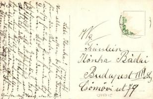 Bad Aussee, Gasthof zum Wilden Mann / students' festival in winter, Studentica. photo