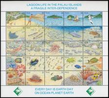 Lagoon wildlife set in relation, Lagúna élővilága teljes ív