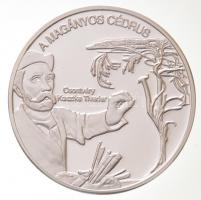 DN "Nemzetünk Nagyjai - "A magányos cédrus" - Csontváry Kosztka Tivadar / Isten áldd ...