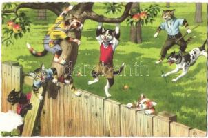 Cats stealing from the neighbors apple tree. Alfred Mainzer No. 4867. - modern postcard (gluemark)