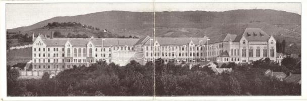 Pécs, A jezsuita pécsi Pius-Kollégium (Pius-alapítványi főgimnázium és Pius-Internátus) déli homlokzata 1914-ben. kihajtható panorámalap