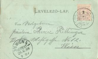 1899 Visegrád, látkép, vár. Schulz 1161. (kis szakadás / small tear)