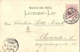 1898 (Vorläufer!) Budapest VII. New York palota, kávéház (kis szakadás / small tear)